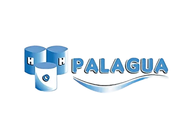 Logo Palagua